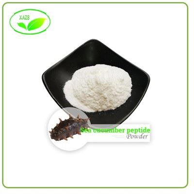 Sea Cucumber Peptide